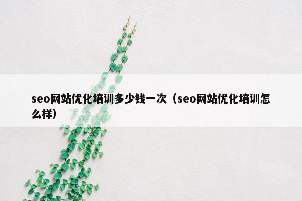 seo网站优化培训多少钱一次（seo网站优化培训怎么样）