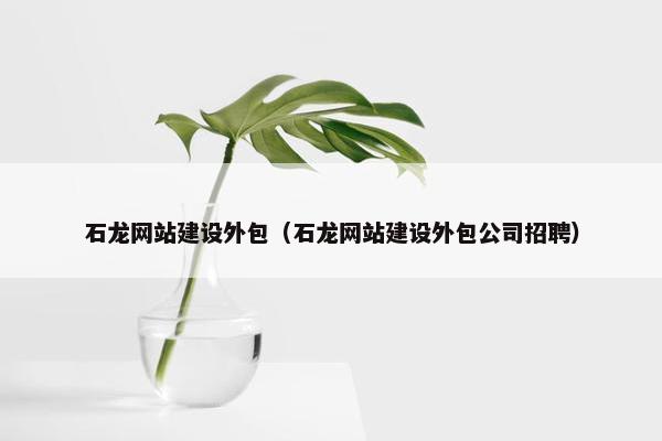 石龙网站建设外包（石龙网站建设外包公司招聘）