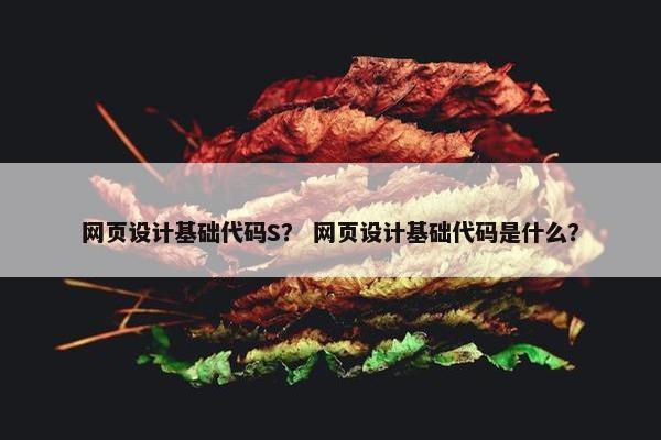 网页设计基础代码S？ 网页设计基础代码是什么？