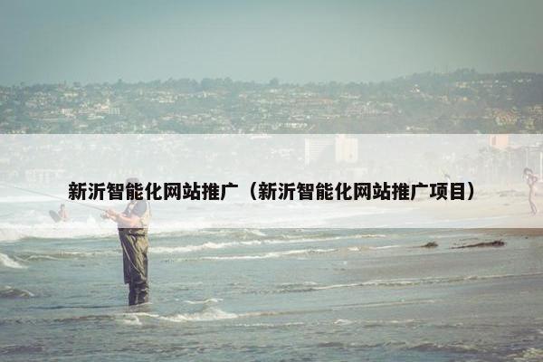 新沂智能化网站推广（新沂智能化网站推广项目）
