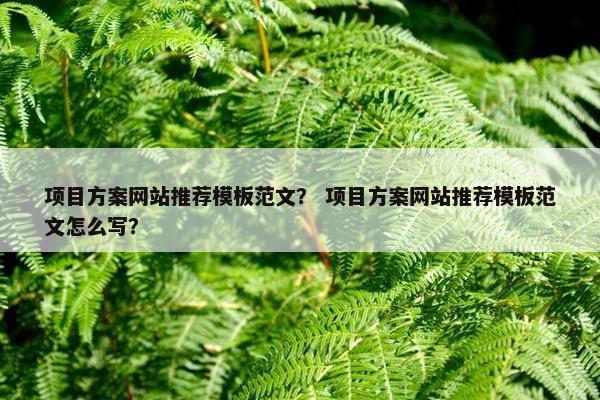 项目方案网站推荐模板范文？ 项目方案网站推荐模板范文怎么写？
