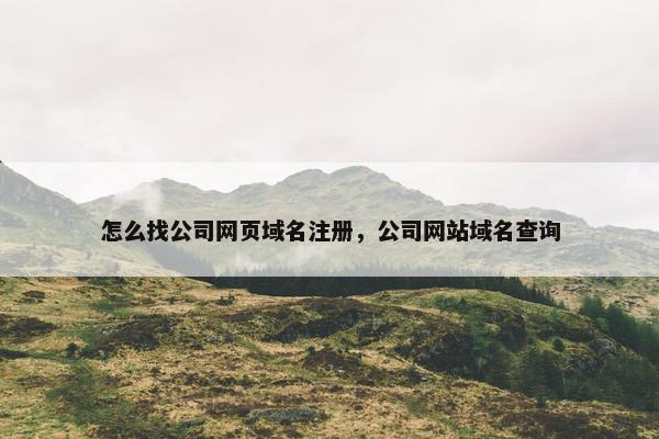 怎么找公司网页域名注册，公司网站域名查询