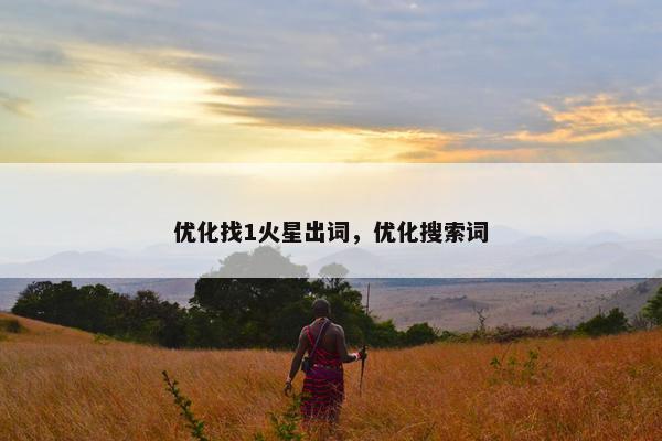 优化找1火星出词，优化搜索词
