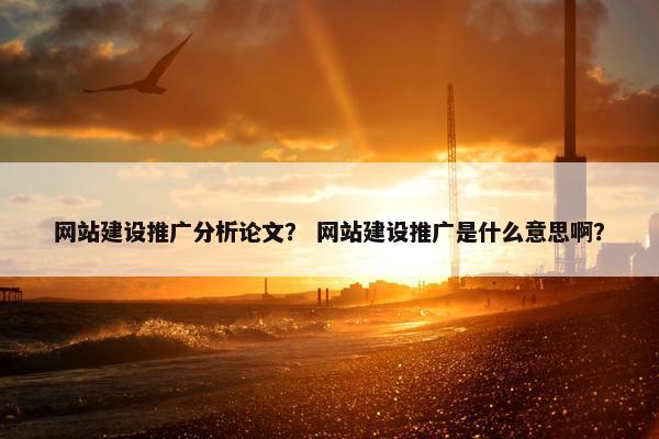 网站建设推广分析论文？ 网站建设推广是什么意思啊？