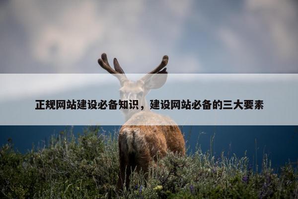 正规网站建设必备知识，建设网站必备的三大要素