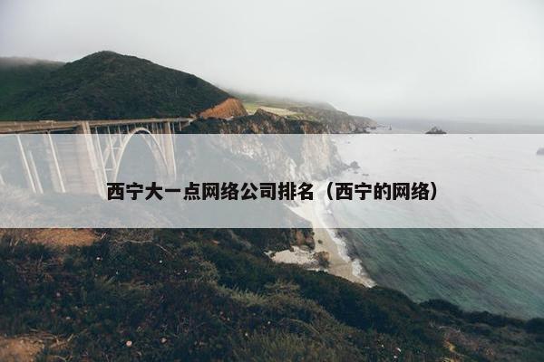 西宁大一点网络公司排名（西宁的网络）