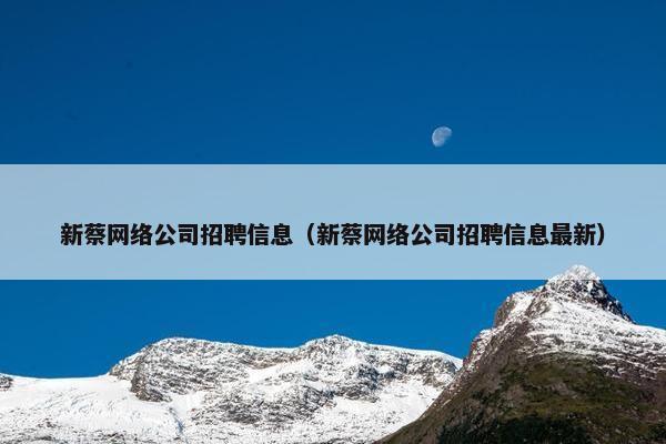 新蔡网络公司招聘信息（新蔡网络公司招聘信息最新）