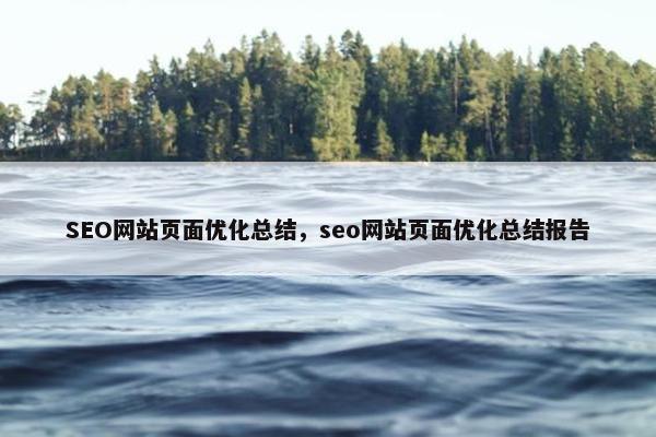 SEO网站页面优化总结，seo网站页面优化总结报告