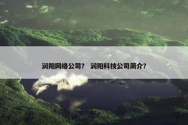 润阳网络公司？ 润阳科技公司简介？