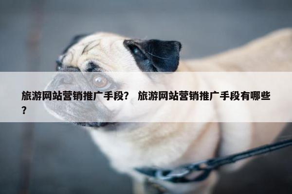 旅游网站营销推广手段？ 旅游网站营销推广手段有哪些？