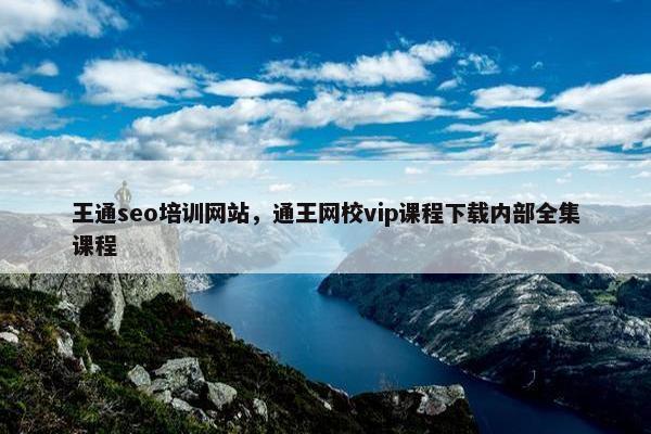 王通seo培训网站，通王网校vip课程下载内部全集课程