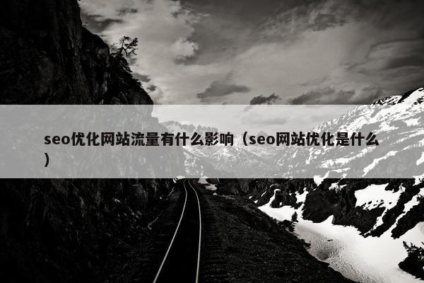 seo优化网站流量有什么影响（seo网站优化是什么）