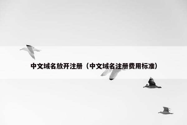 中文域名放开注册（中文域名注册费用标准）