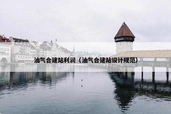 油气合建站利润（油气合建站设计规范）
