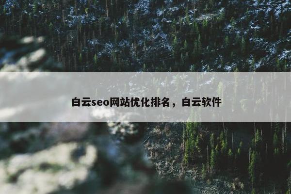 白云seo网站优化排名，白云软件