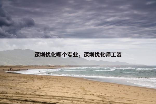 深圳优化哪个专业，深圳优化师工资