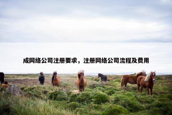 成网络公司注册要求，注册网络公司流程及费用