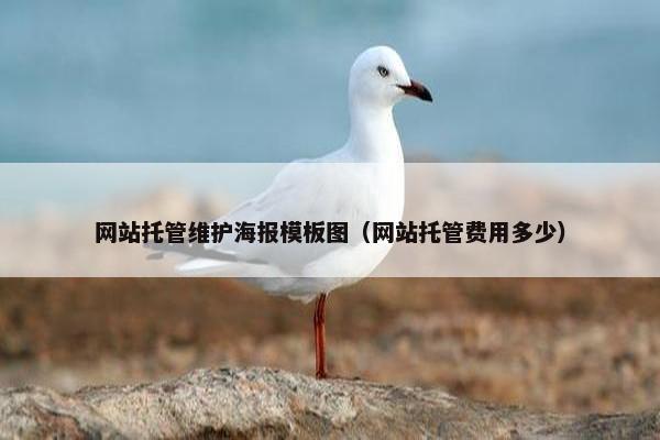 网站托管维护海报模板图（网站托管费用多少）
