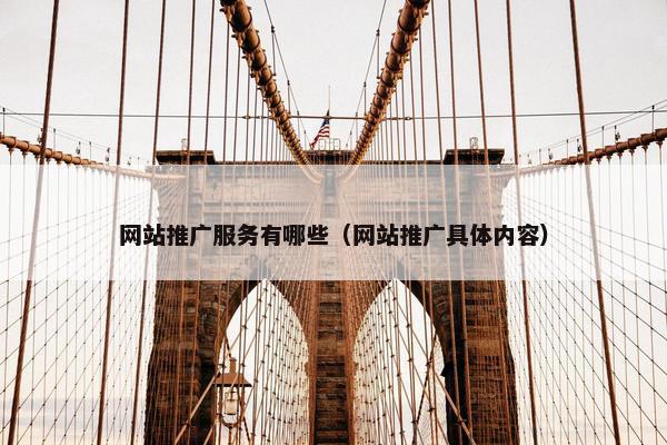 网站推广服务有哪些（网站推广具体内容）