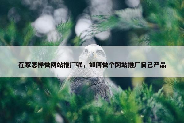 在家怎样做网站推广呢，如何做个网站推广自己产品