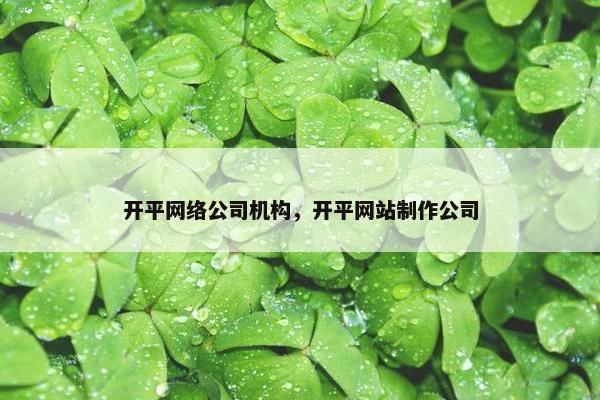 开平网络公司机构，开平网站制作公司