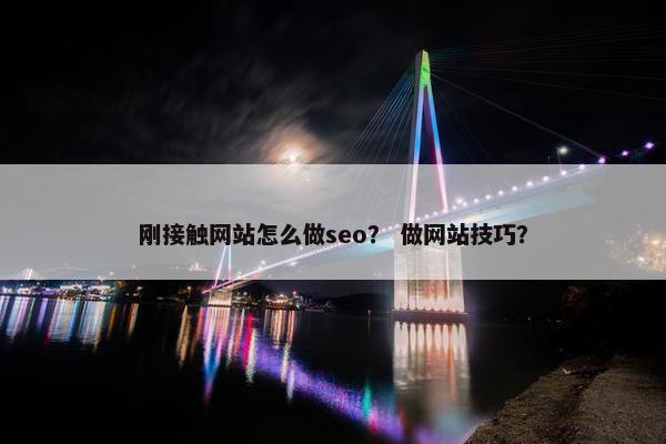 刚接触网站怎么做seo？ 做网站技巧？
