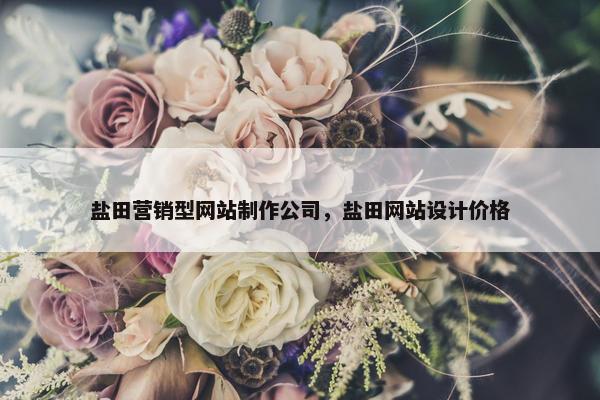 盐田营销型网站制作公司，盐田网站设计价格