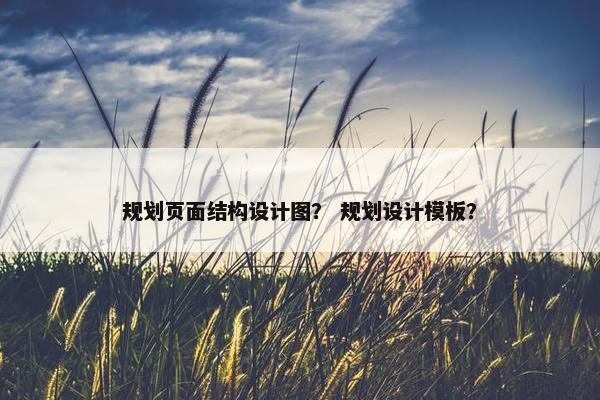 规划页面结构设计图？ 规划设计模板？