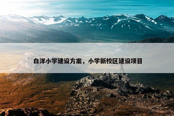 白洋小学建设方案，小学新校区建设项目