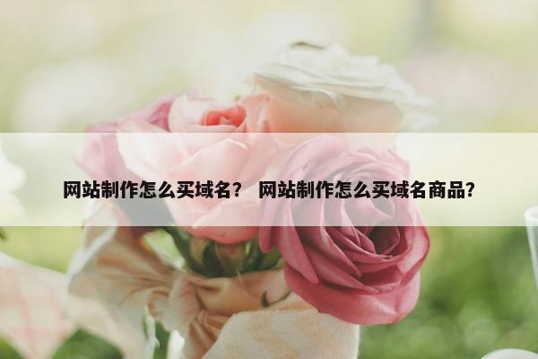 网站制作怎么买域名？ 网站制作怎么买域名商品？