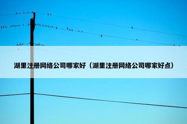湖里注册网络公司哪家好（湖里注册网络公司哪家好点）