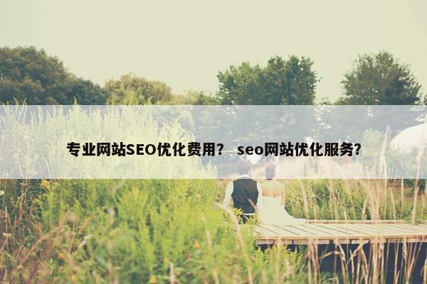 专业网站SEO优化费用？ seo网站优化服务？
