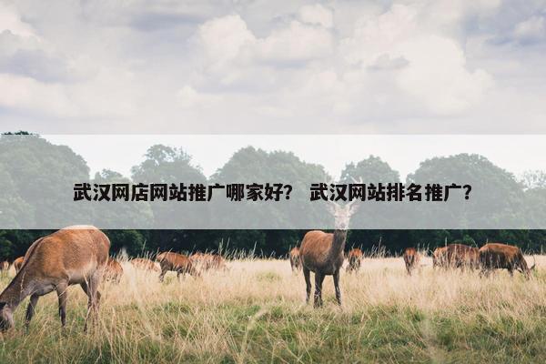 武汉网店网站推广哪家好？ 武汉网站排名推广？