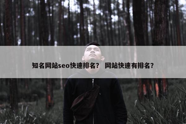 知名网站seo快速排名？ 网站快速有排名？