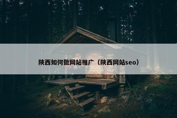 陕西如何做网站推广（陕西网站seo）
