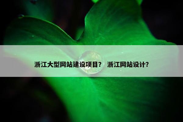 浙江大型网站建设项目？ 浙江网站设计？