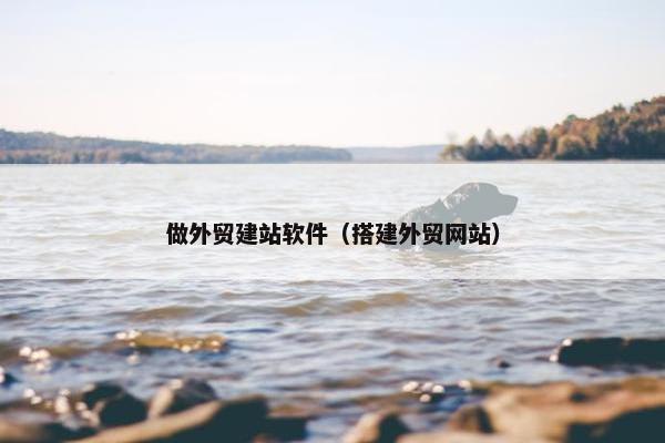 做外贸建站软件（搭建外贸网站）
