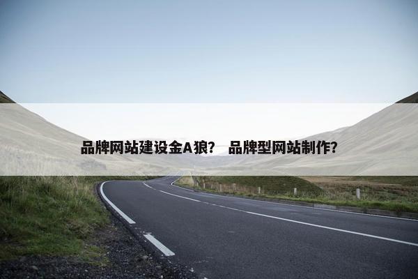 品牌网站建设金A狼？ 品牌型网站制作？