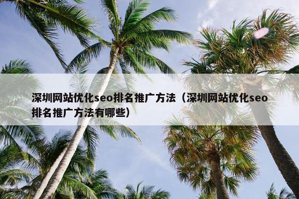 深圳网站优化seo排名推广方法（深圳网站优化seo排名推广方法有哪些）
