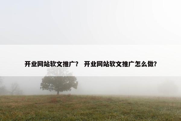 开业网站软文推广？ 开业网站软文推广怎么做？