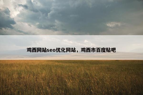 鸡西网站seo优化网站，鸡西市百度贴吧