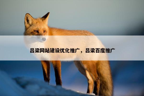 吕梁网站建设优化推广，吕梁百度推广