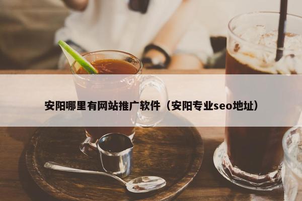 安阳哪里有网站推广软件（安阳专业seo地址）