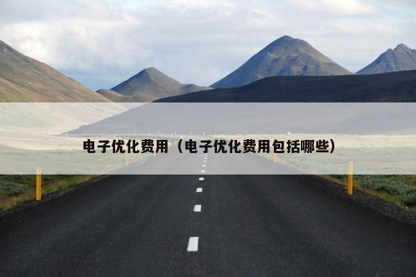 电子优化费用（电子优化费用包括哪些）