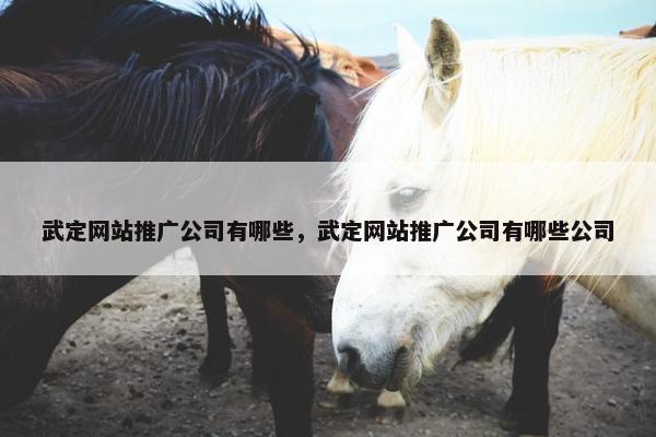 武定网站推广公司有哪些，武定网站推广公司有哪些公司