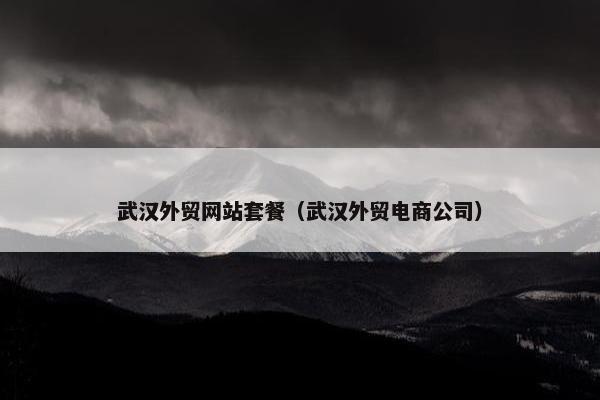 武汉外贸网站套餐（武汉外贸电商公司）