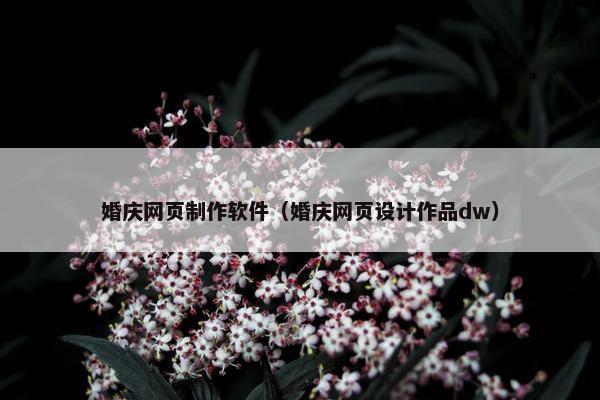 婚庆网页制作软件（婚庆网页设计作品dw）