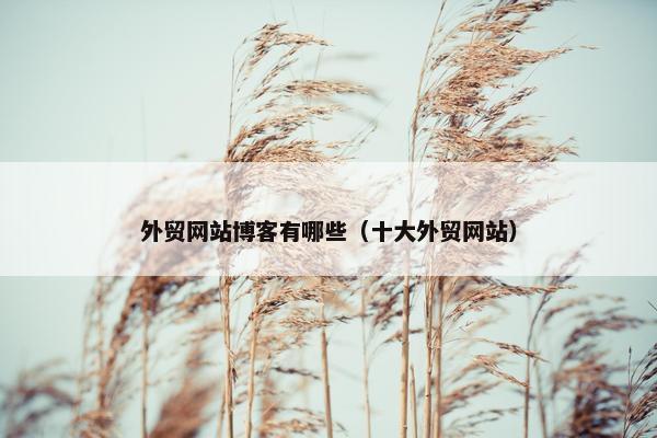外贸网站博客有哪些（十大外贸网站）