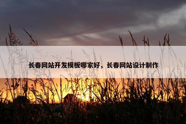 长春网站开发模板哪家好，长春网站设计制作