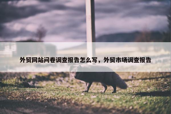 外贸网站问卷调查报告怎么写，外贸市场调查报告